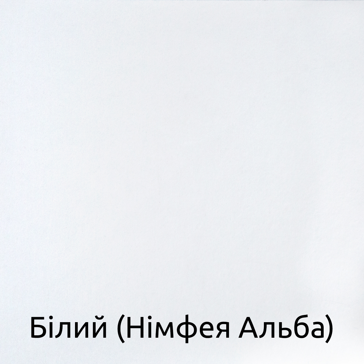 Білий Німфея Альба
